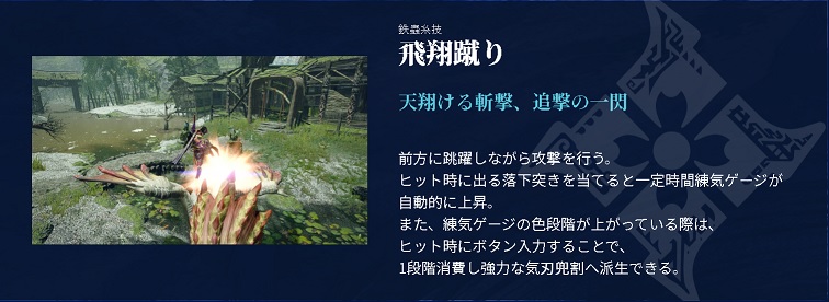飛翔蹴り公式説明